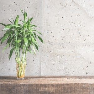 касдекор фарби лаки інструменти каталог товари kasdecor, KASdecor.com.ua